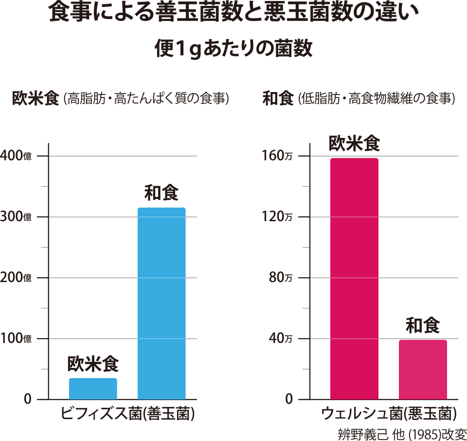 食事による善玉菌数と悪玉菌数の違いのグラフ