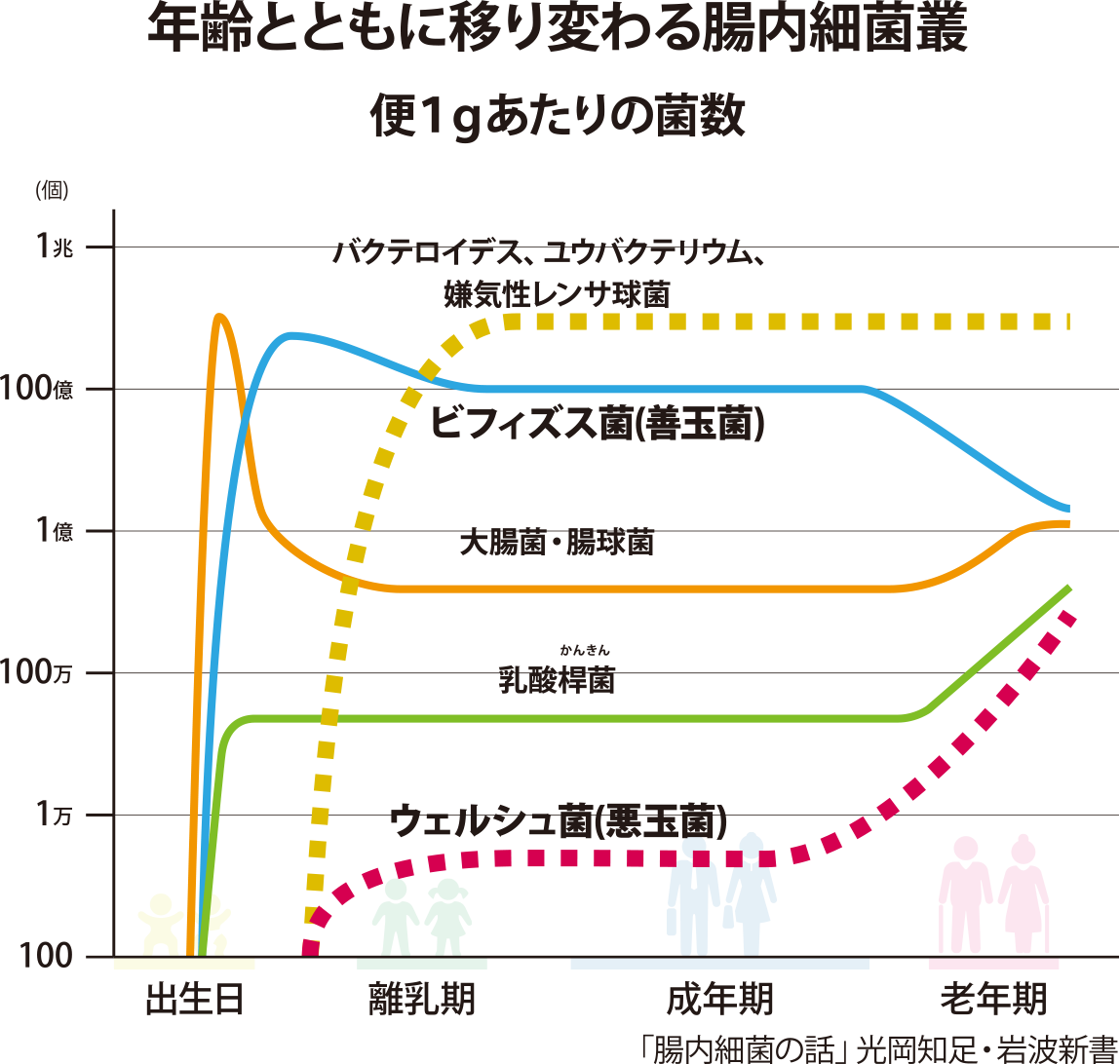 年齢とともに移り変わる腸内細菌叢のグラフ