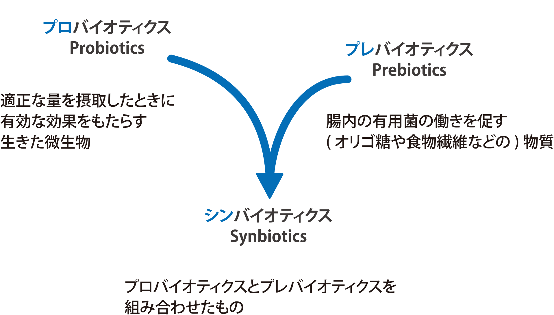 プロバイオティクス、プレバイオティクス、シンバイオティクスの図