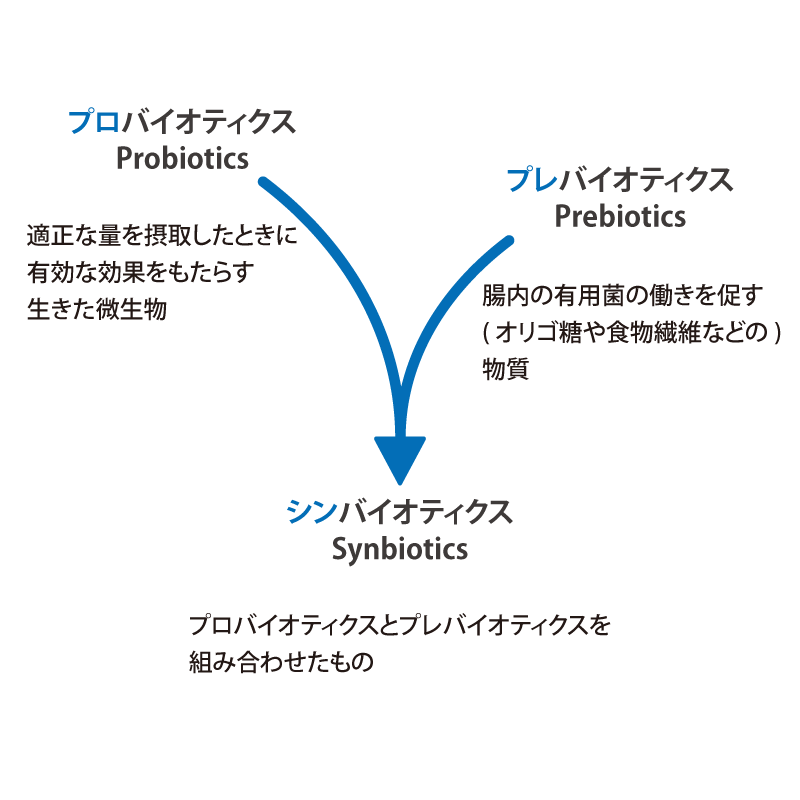 プロバイオティクス、プレバイオティクス、シンバイオティクスの図